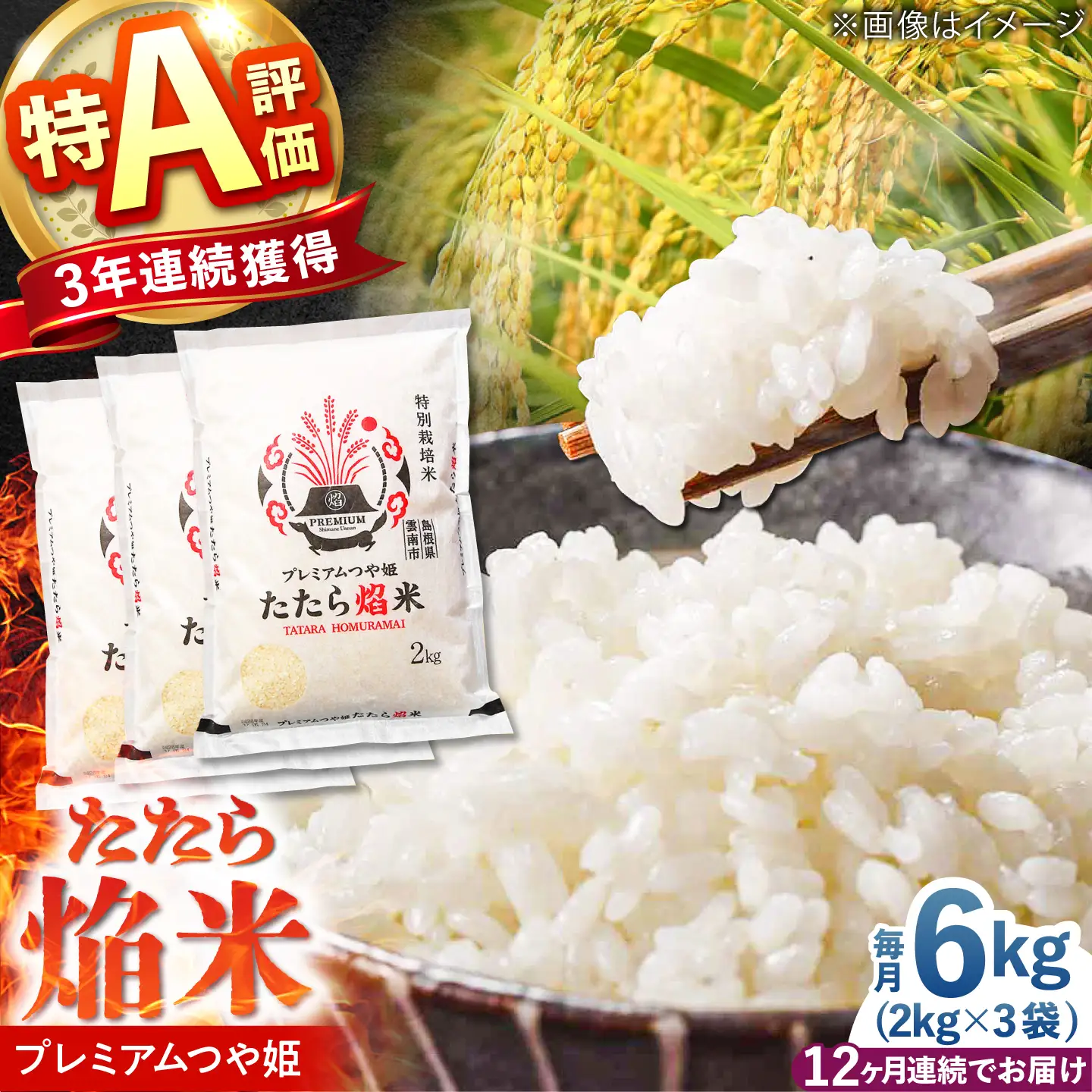 新米 【12回定期便】 プレミアムつや姫 6kg 新米 [AIBR023-r8]