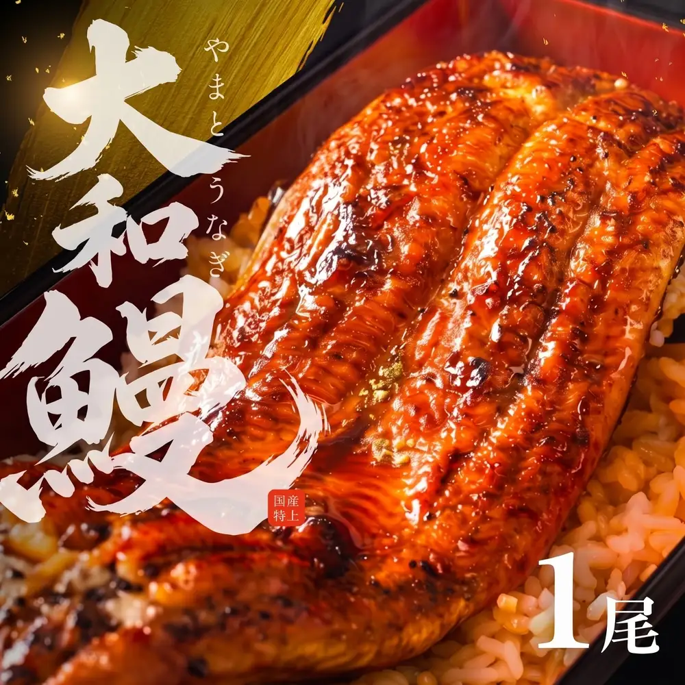  国産特上 大和鰻 1尾（約156~183g） 国産鰻 選べる 鰻 うなぎ unagi ウナギ 蒲焼 長蒲焼 国産うなぎ 鰻蒲焼 上 特上 贈答 ギフト 豊橋うなぎ 土用の丑の日 カネナカ 冷凍 限定 うな重 うな丼 ひつまぶし 愛知県 豊橋市