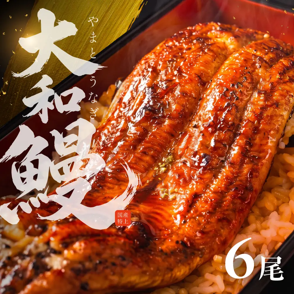 国産特上 大和鰻 6尾（約936~1098g） 国産鰻 選べる 鰻 うなぎ unagi ウナギ 蒲焼 長蒲焼 国産うなぎ 鰻蒲焼 上 特上 贈答 ギフト 豊橋うなぎ 土用の丑の日 カネナカ 冷凍 限定 うな重 うな丼 ひつまぶし 愛知県 豊橋市