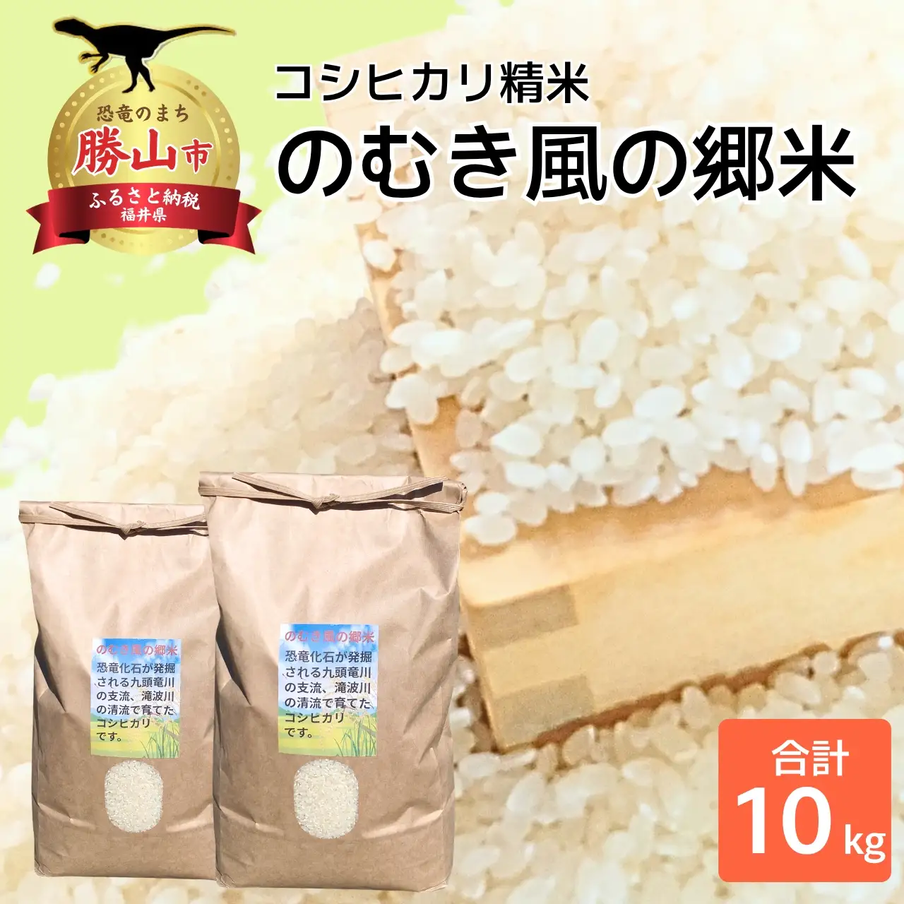 米 令和8年産 コシヒカリ 精米 のむき風の郷 5㎏×2袋  [B-024007]