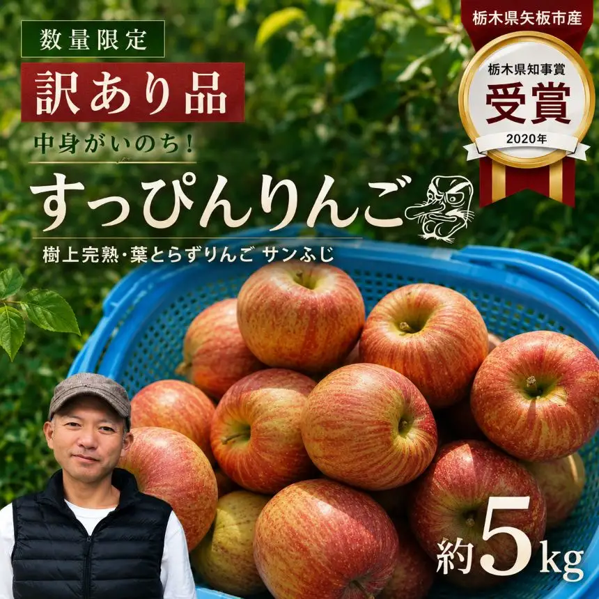 りんご 訳あり サンふじ 5kg 樹上完熟・葉とらず栽培 「すっぴんりんご」 | 果物 産地直送 栃木県矢板市産