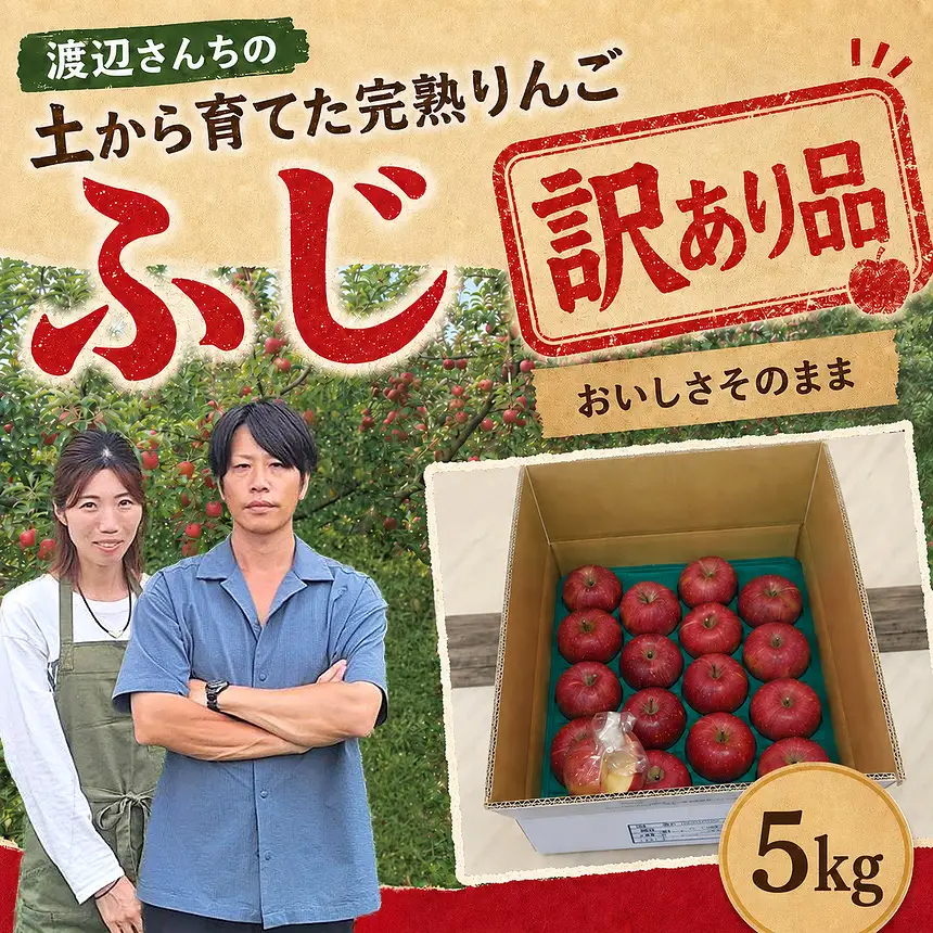 訳あり りんご 完熟 ふじ 5kg 箱｜【11月下旬より順次お届け】リンゴ 林檎 フルーツ 果物 栃木県矢板市産