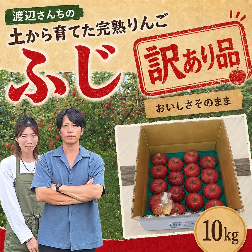 訳あり りんご 完熟 ふじ 10kg 箱｜【11月下旬より順次お届け】リンゴ 林檎 フルーツ 果物 栃木県矢板市産