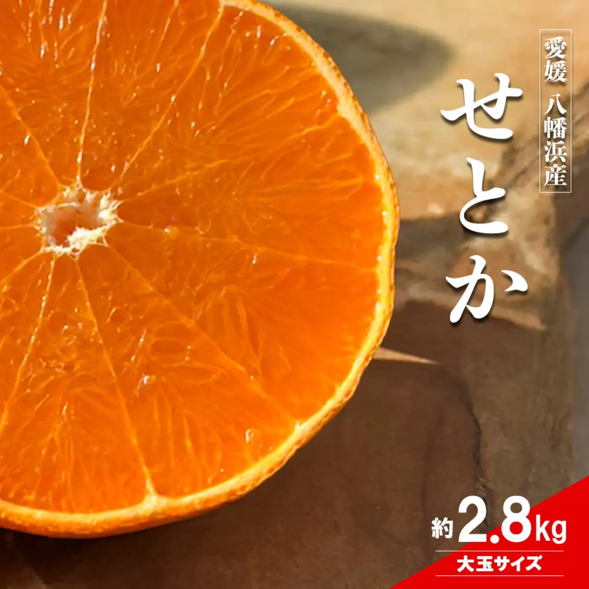 【先行受付】愛媛の柑橘の代名詞！「せとか」大玉約2.8kg入【28-48】YWTN038