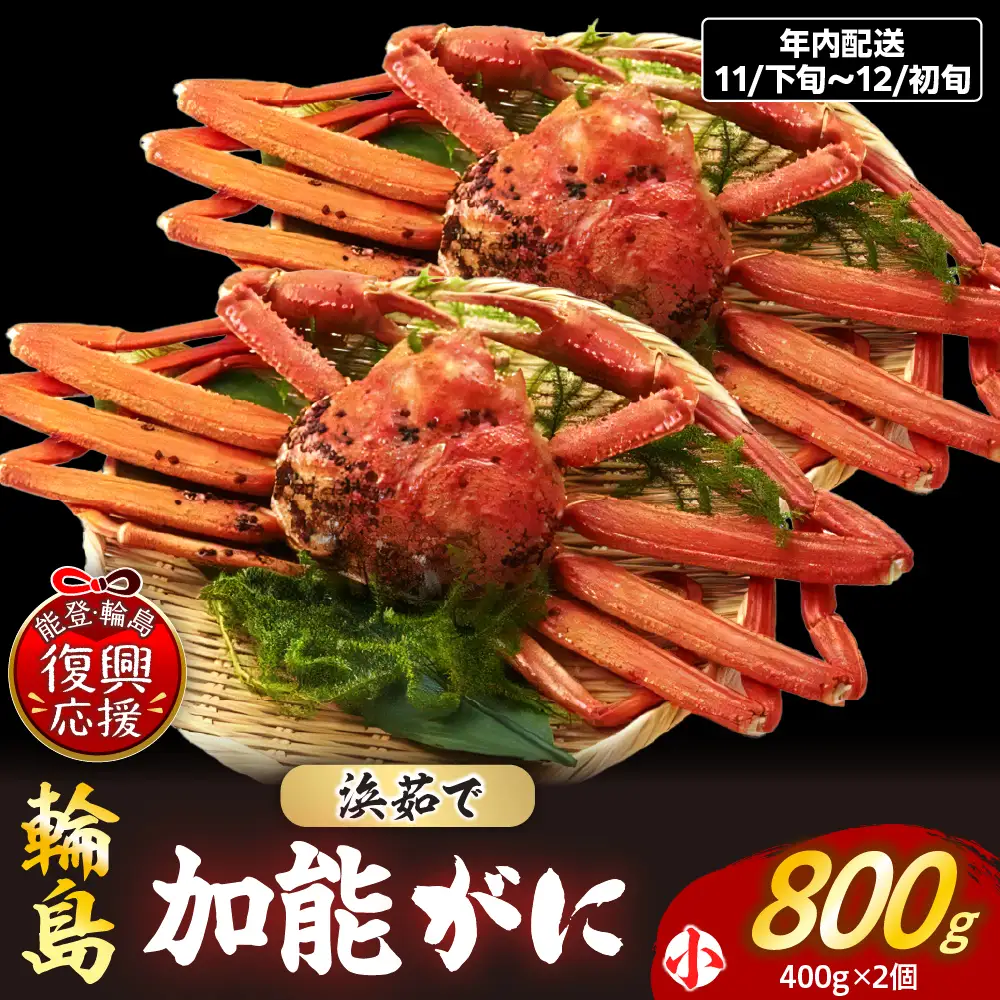 【先行予約】浜茹で加能ガニ（雄）【小×2】R8年内発送 wa001 蟹