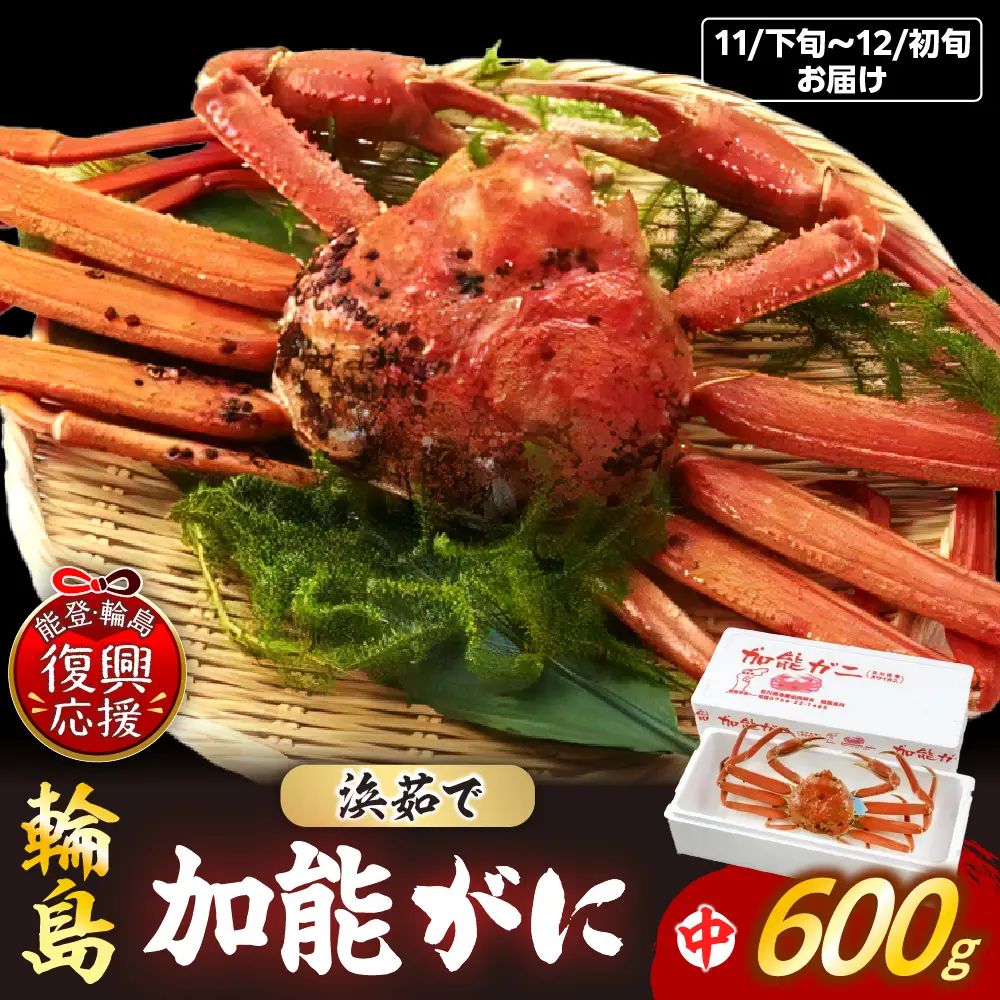 【先行予約】浜茹で加能ガニ（雄）【中】R8年内発送 wa001 蟹 蟹