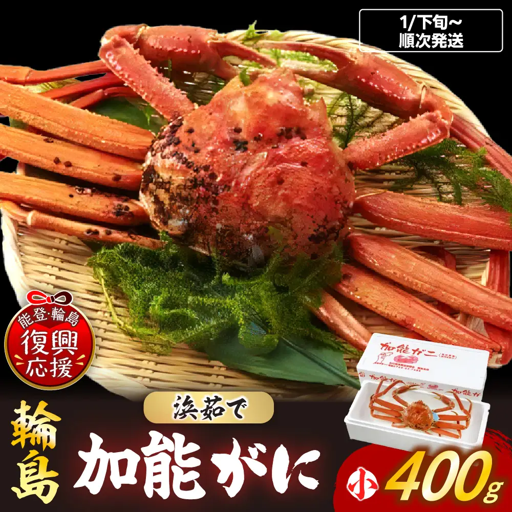 【先行予約】浜茹で加能ガニ（雄）【小】R9年発送 wa001 蟹 蟹