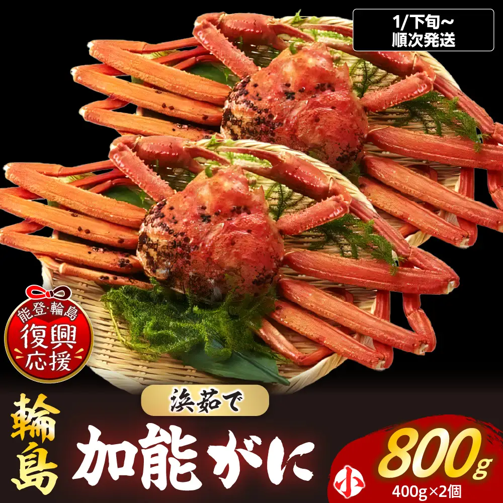 【先行予約】浜茹で加能ガニ（雄）【小×2】R9年発送 wa001 蟹