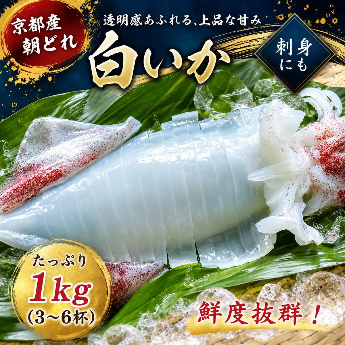 【2026年2月以降順次出荷】【京都産 刺身 OK】朝どれ 1kg 白いか イカ 剣先イカ 肴 人気返礼品 朝どれ