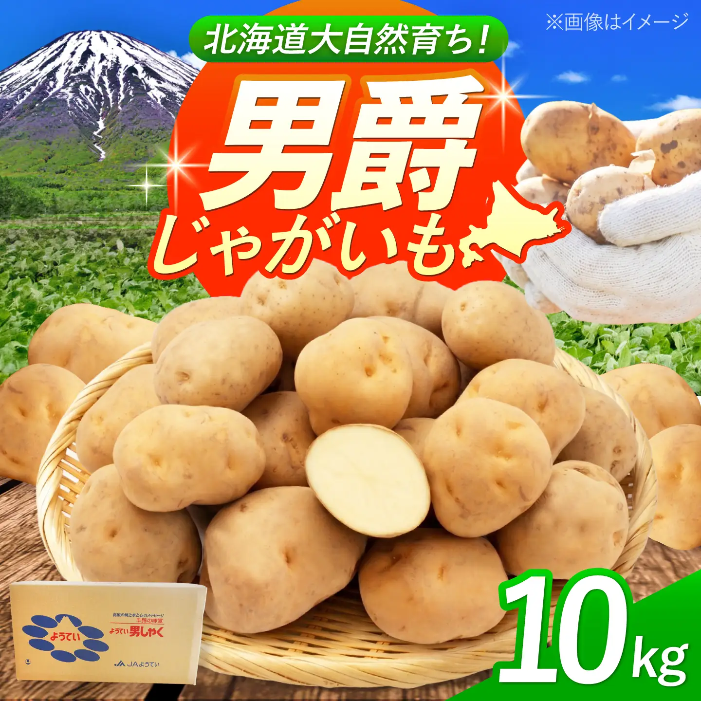 じゃがいも 男爵芋 10kg BPAT002 じゃがいも