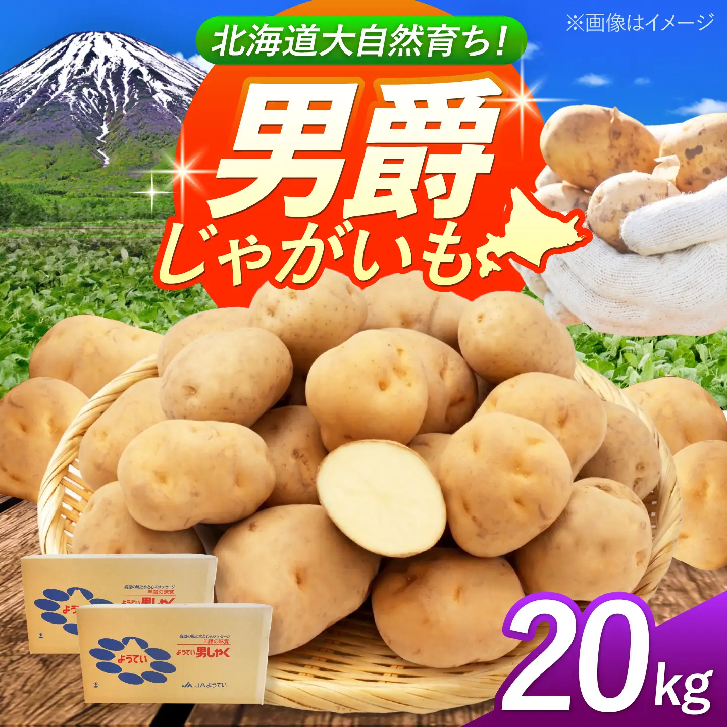 じゃがいも 男爵芋 20kg BPAT003 じゃがいも