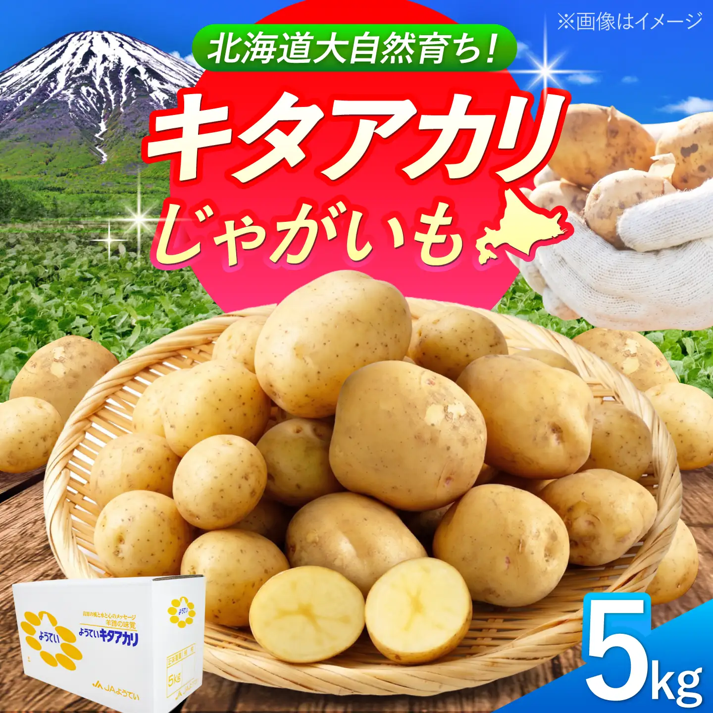 じゃがいも キタアカリ 5kg BPAT004 じゃがいも