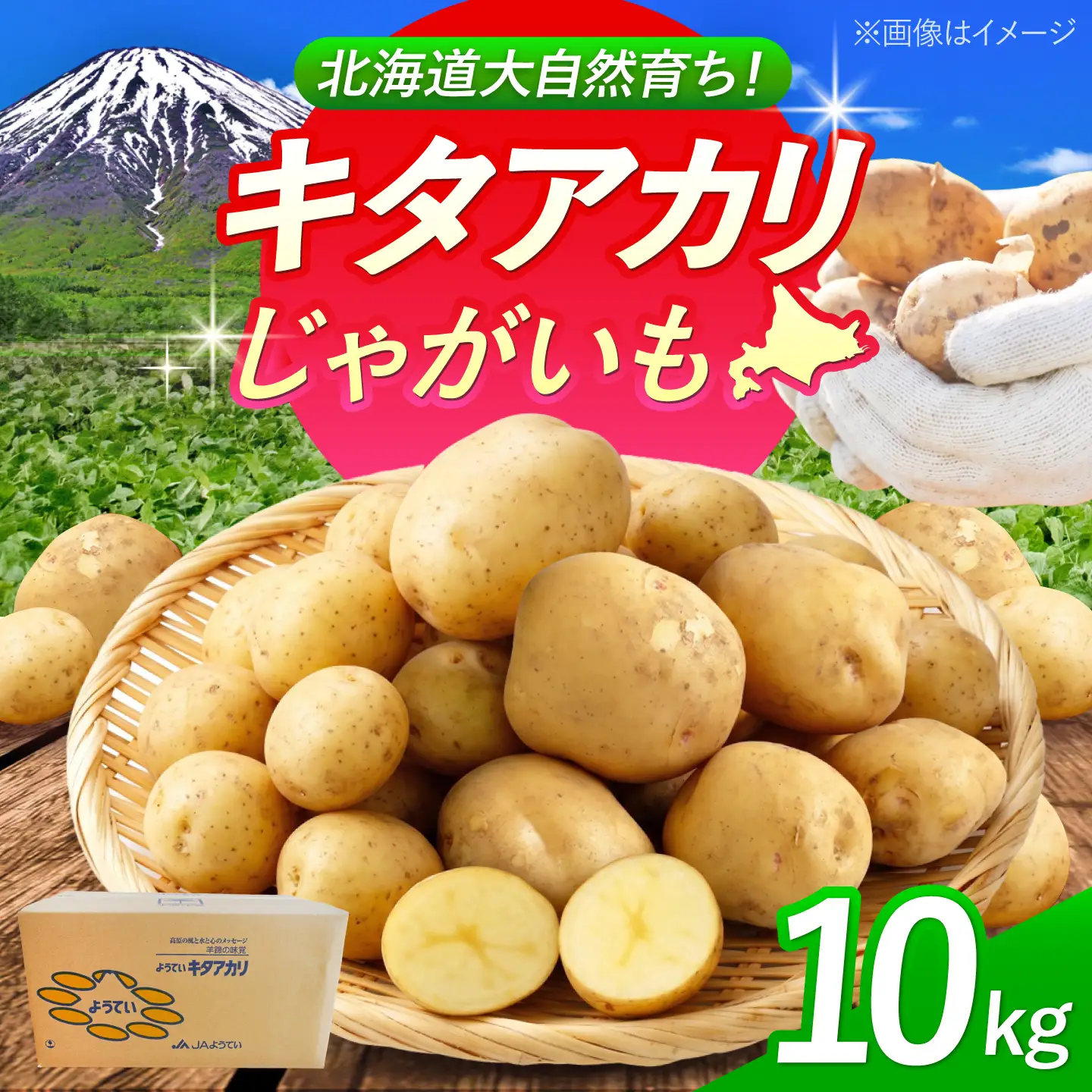 じゃがいも キタアカリ 10kg BPAT005 じゃがいも