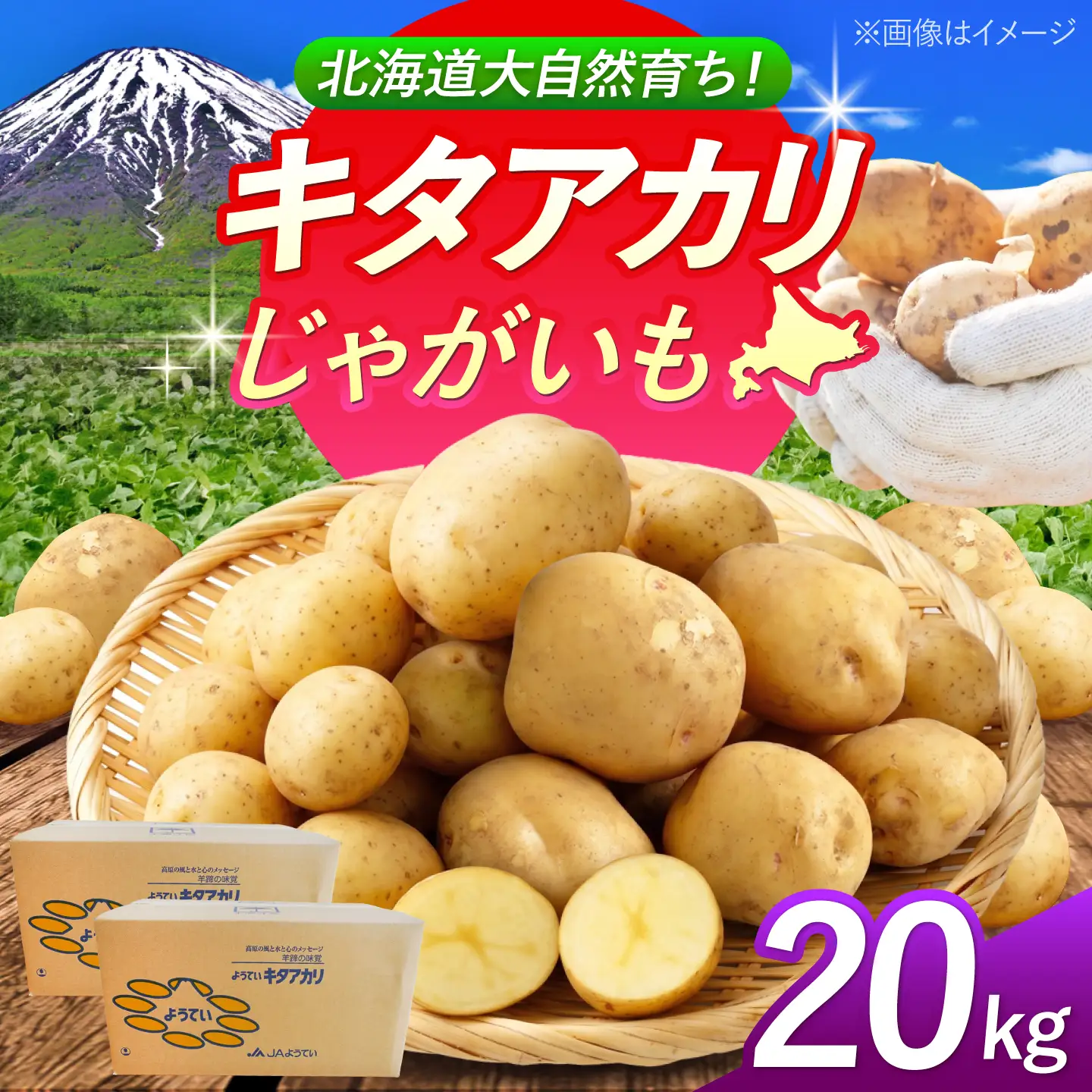 じゃがいも キタアカリ 20kg BPAT006 じゃがいも