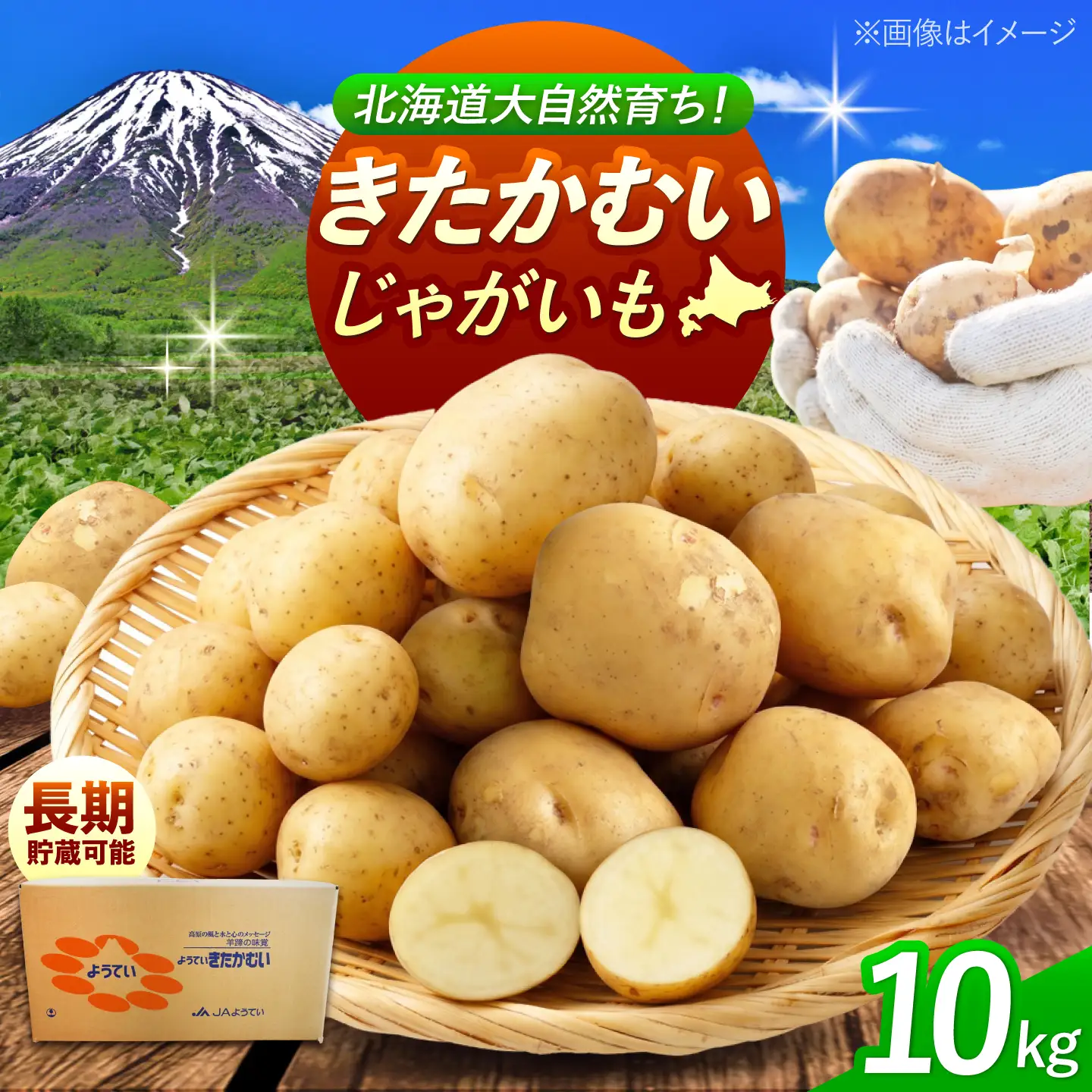 【先行予約】 じゃがいも きたかむい 10kg BPAT008 じゃがいも