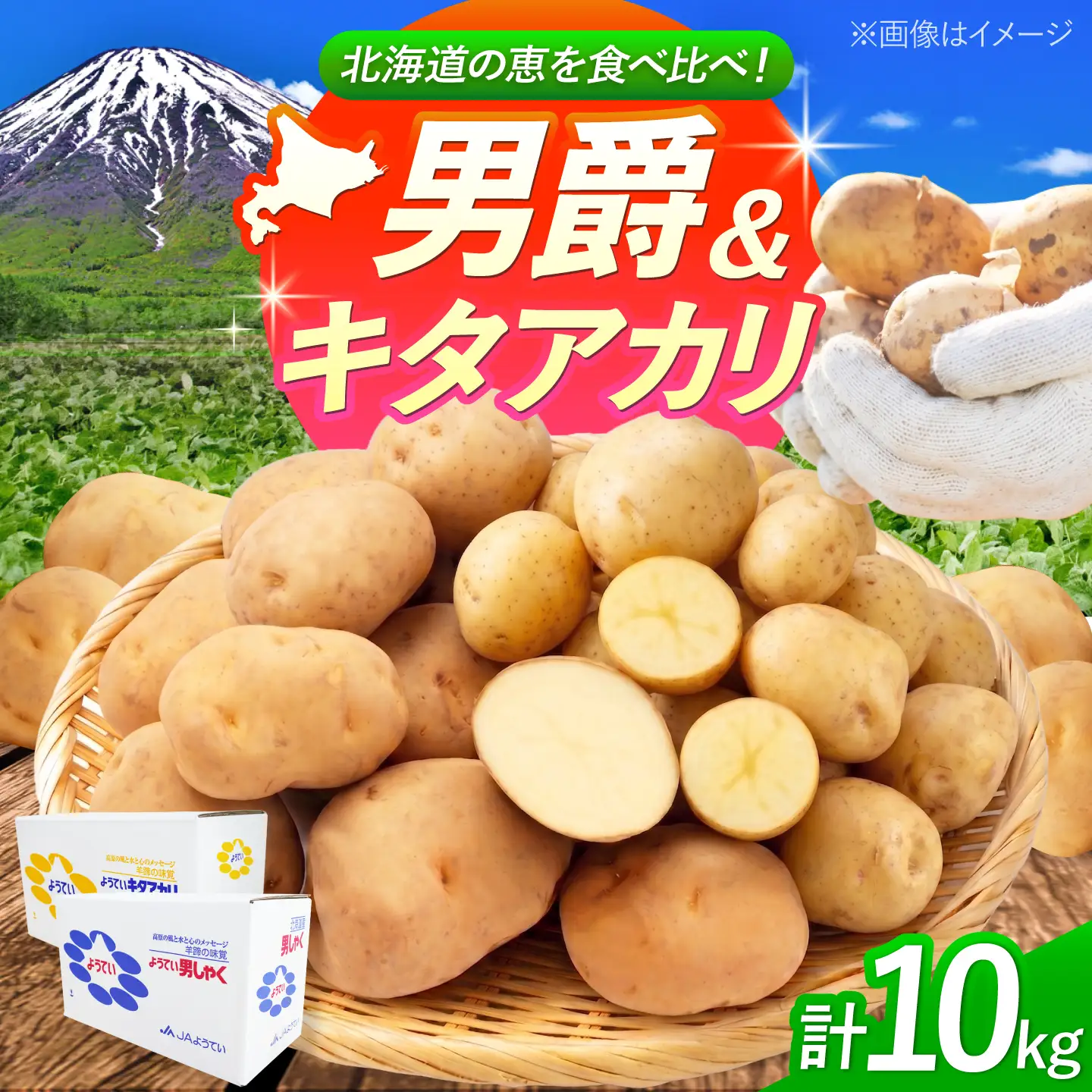 じゃがいも 食べ比べセット（男爵・キタアカリ）計10kg BPAT010 じゃがいも 食べ比べ
