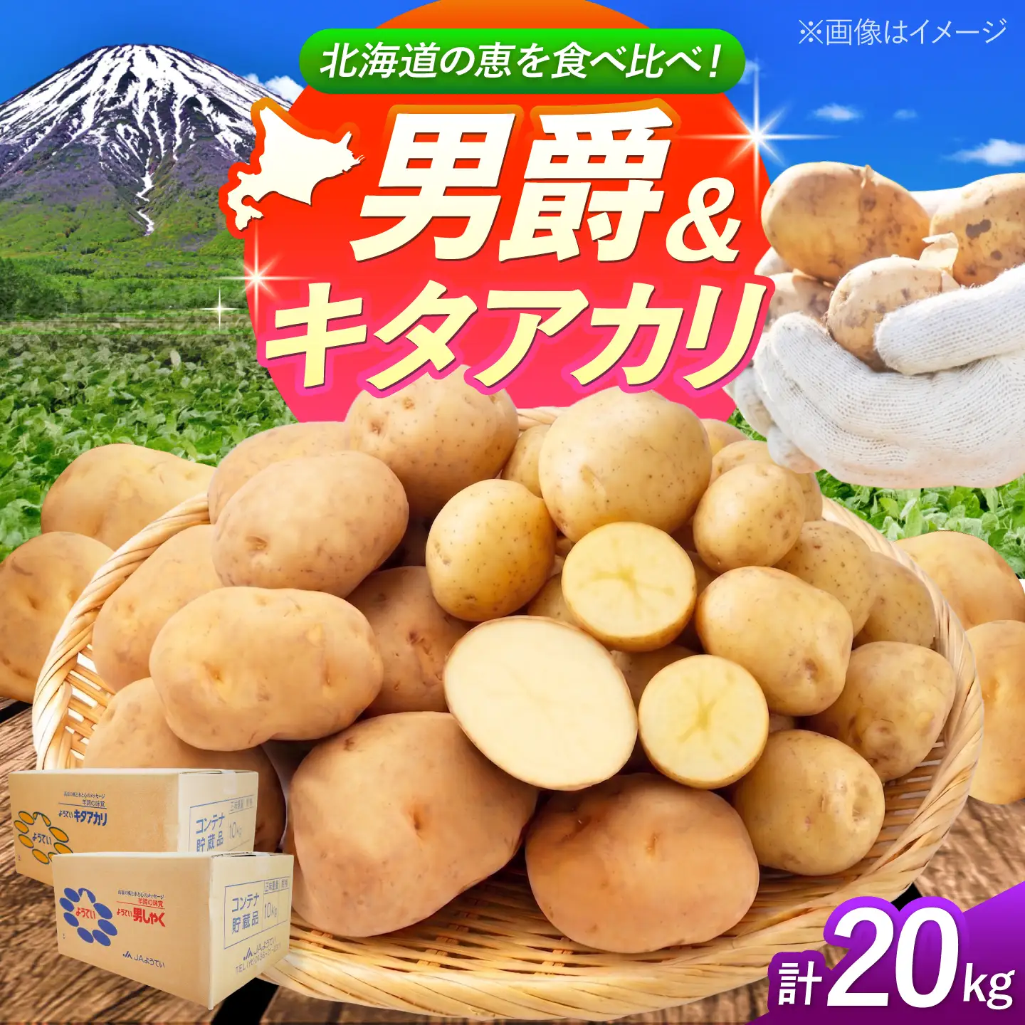 じゃがいも 食べ比べセット（男爵・キタアカリ）計20kg BPAT011 じゃがいも 食べ比べ