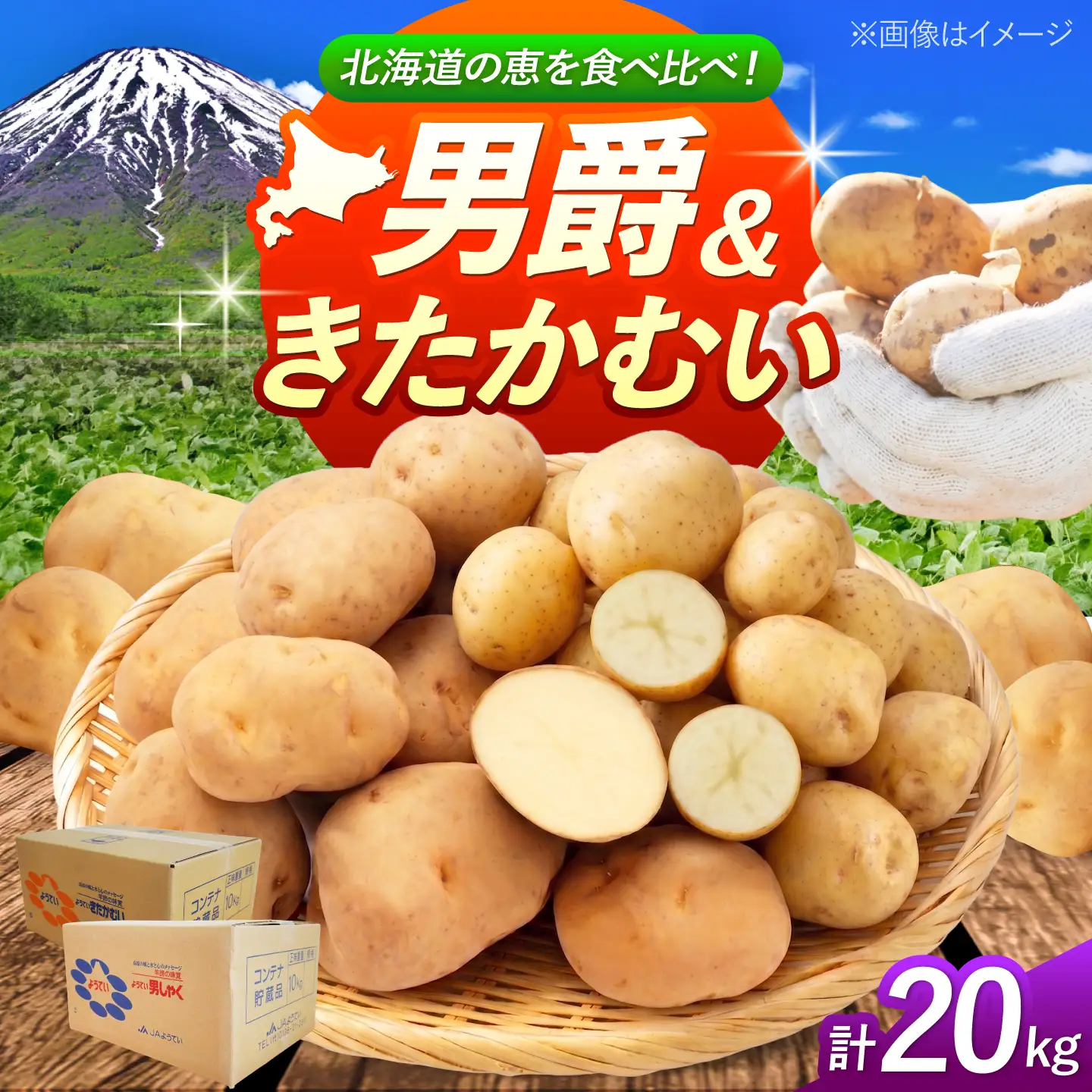 【先行予約】 じゃがいも 食べ比べセット（男爵・きたかむい）計20kg BPAT013 じゃがいも 食べ比べ