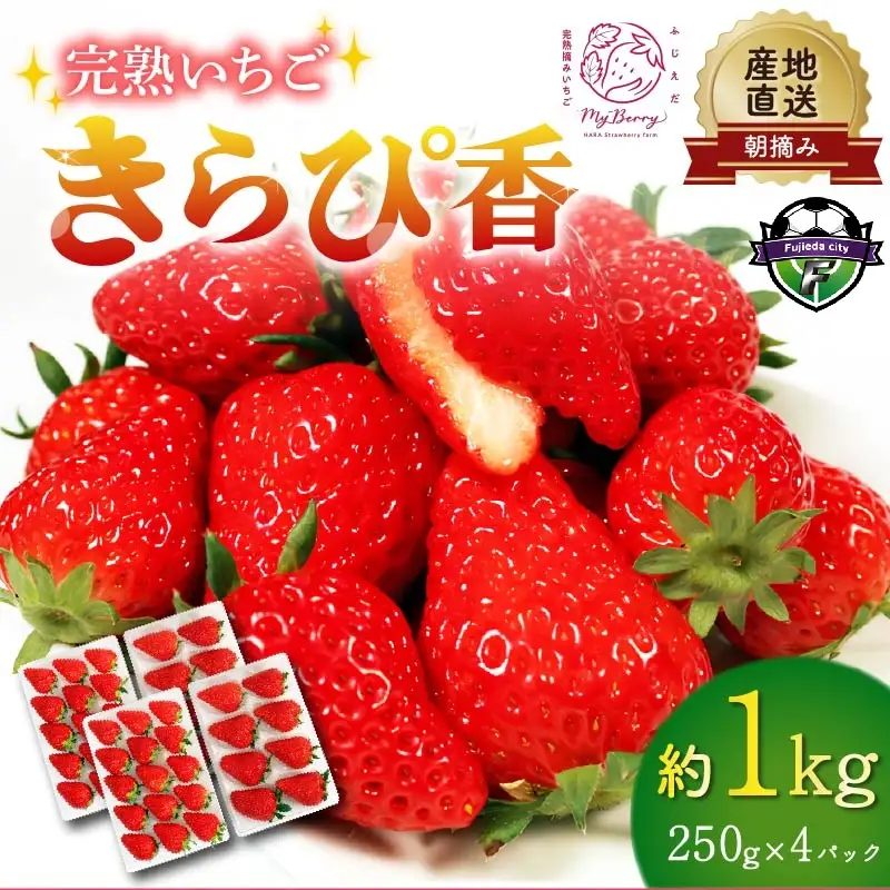  2026年12月順次発送 いちご 約1kg いちご