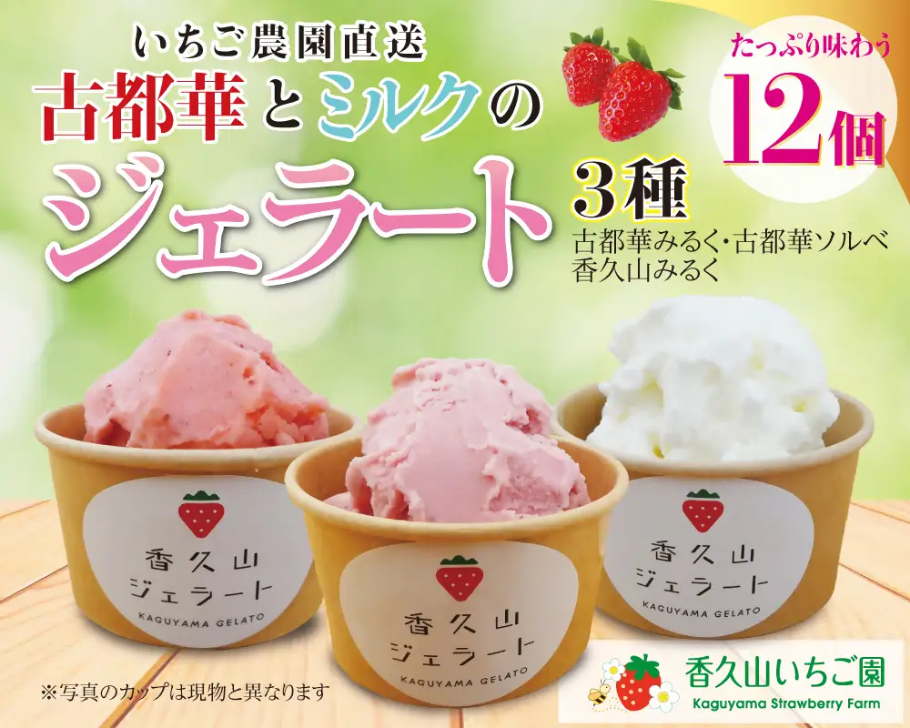 農園仕込みの贅沢ジェラート。奈良ブランドいちご「古都華」ジェラート12個セット（古都華みるく・古都華ソルベ・香久山みるく）