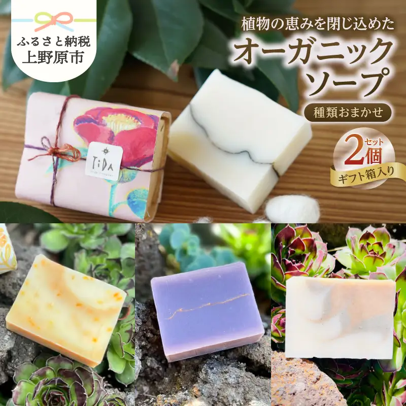 植物の恵みを閉じ込めたオーガニックソープ 2個セット【種類おまかせ】※ギフト箱入り