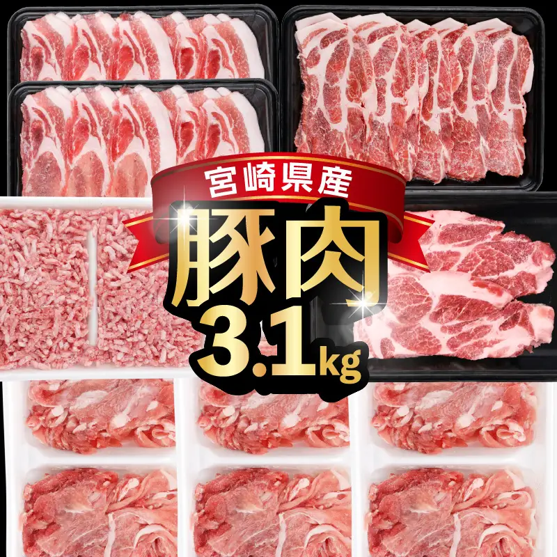 《2026年12月発送》宮崎県産豚バラエティー3.1kgセット_K033-054-12