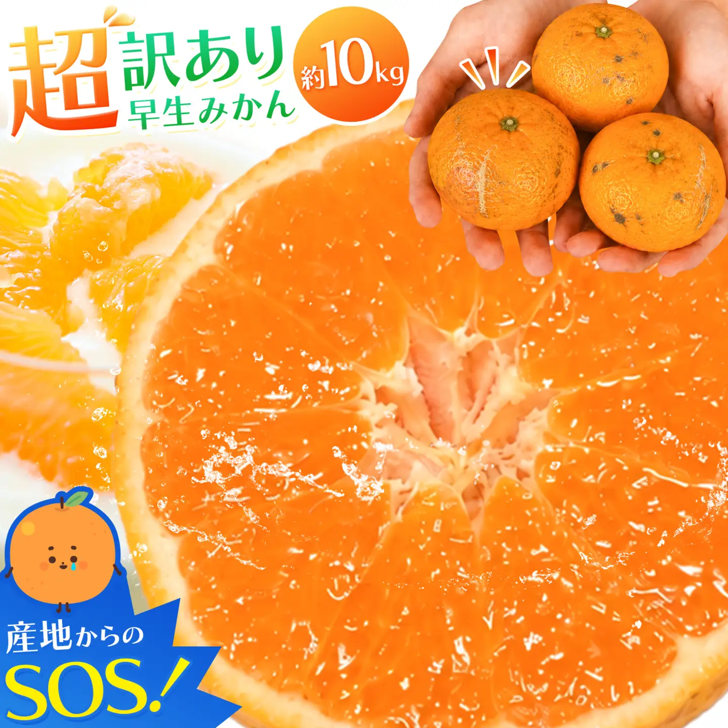 超訳あり早生みかん 約10kg みかん