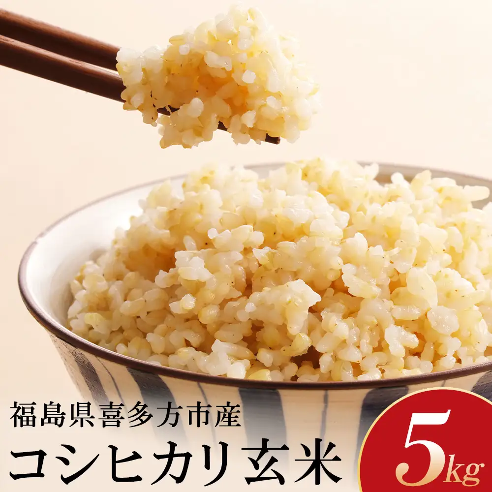 令和8年産先行予約！】特別栽培米コシヒカリ 玄米 5kg [米・食味分析