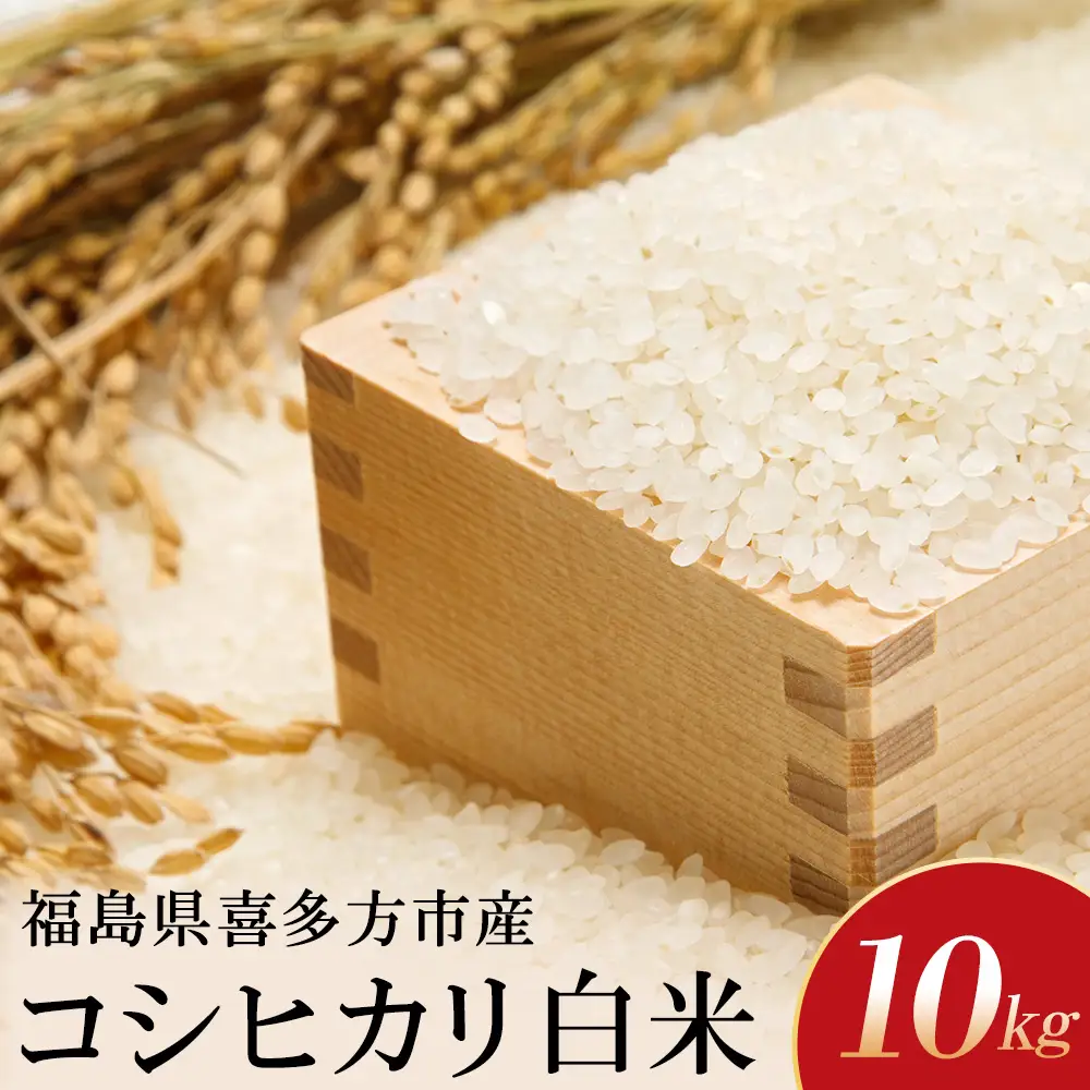 【令和8年産先行予約！】特別栽培米コシヒカリ　白米　10kg(5kg×2袋)　[米・食味分析鑑定コンクール国際大会 特別優秀賞受賞]　【07208-1003】