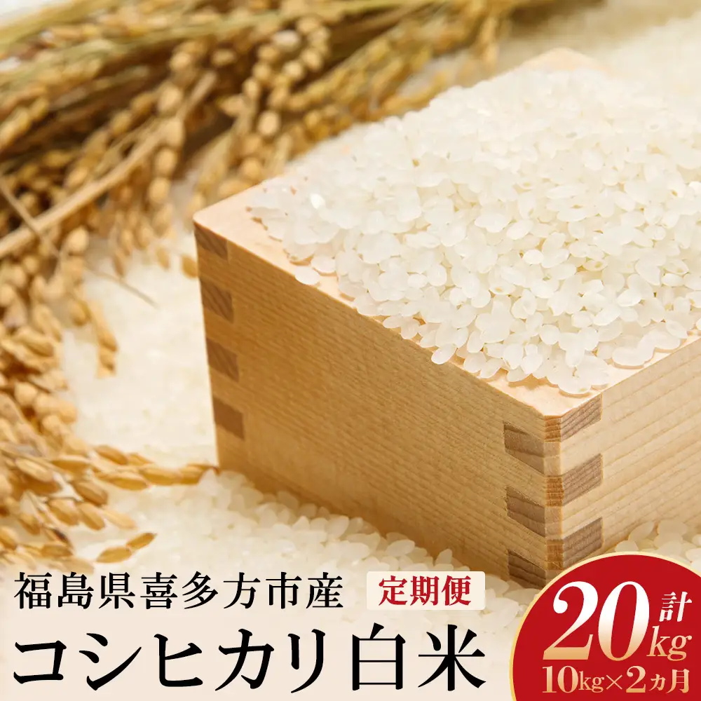 令和8年産先行予約！】特別栽培米コシヒカリ 白米 10kg(5kg×2袋) 2か月