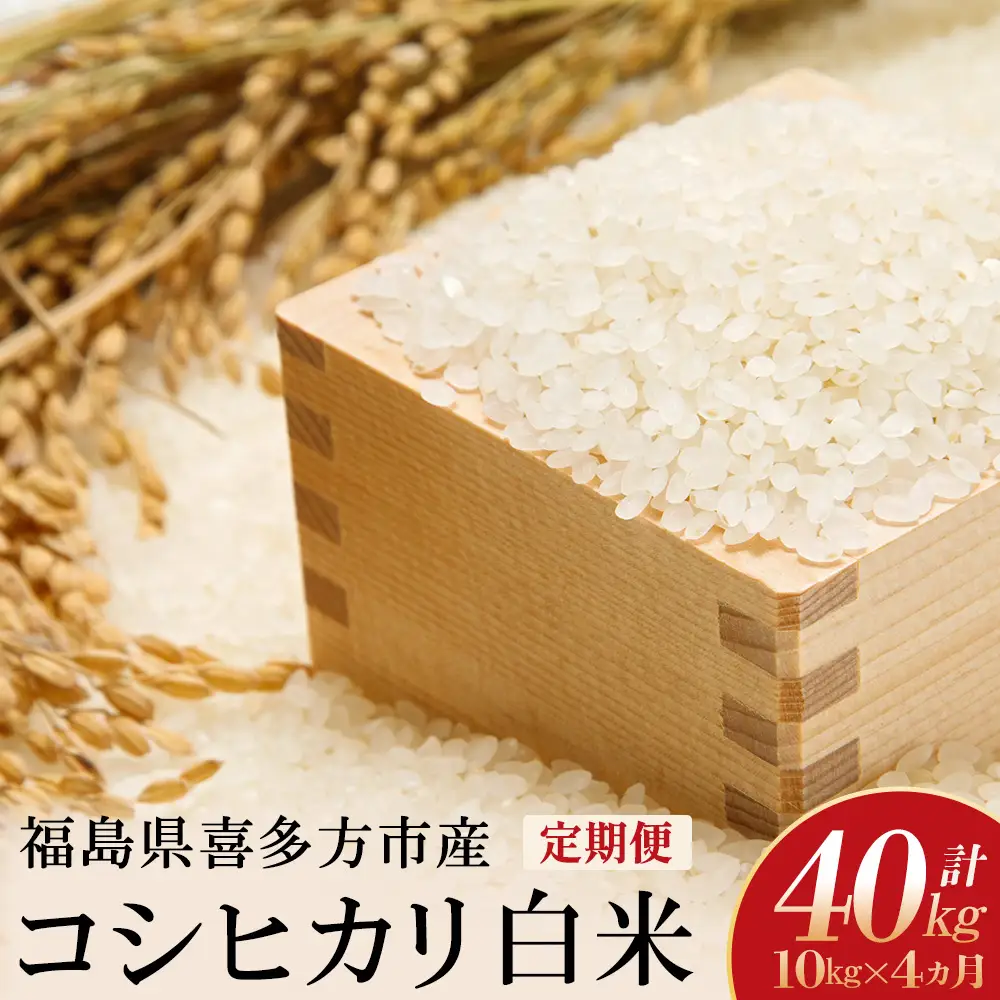 【令和8年産先行予約！】特別栽培米コシヒカリ　白米　10kg(5kg×2袋)　4か月定期便(計20kg)　[米・食味分析鑑定コンクール国際大会 特別優秀賞受賞]　【07208-1006】