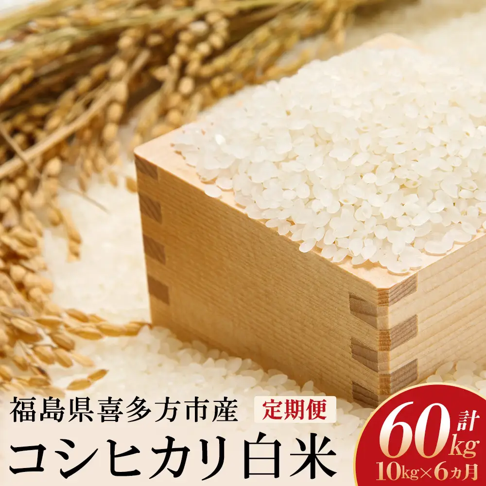 令和8年産先行予約！】特別栽培米コシヒカリ 白米 10kg(5kg×2袋) 6か月