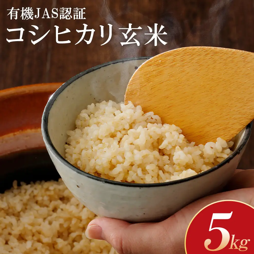 【令和8年産先行予約！】有機JAS認証のコシヒカリ　玄米　5kg【07208-1009】