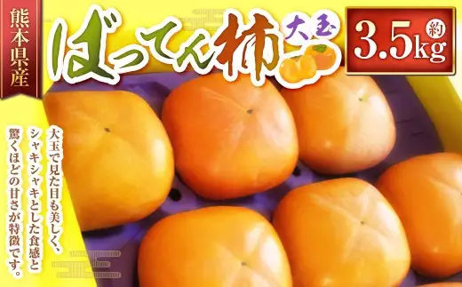 ばってん柿 （ 約3.5kg ） 柿 かき カキ 果物 くだもの フルーツ 果実 果汁 果肉 旬の味覚 旬の果物 国産 熊本県産 【 2026年9月上旬から11月上旬発送予定 】