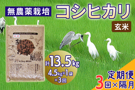 無農薬栽培 コシヒカリ 玄米 2ヶ月に1回定期便（全3回）＜計13.5kg（4.5kg×3回）＞ | 米 お米 コメ ご飯 お取り寄せ 贈り物 上原農場 埼玉県 杉戸町