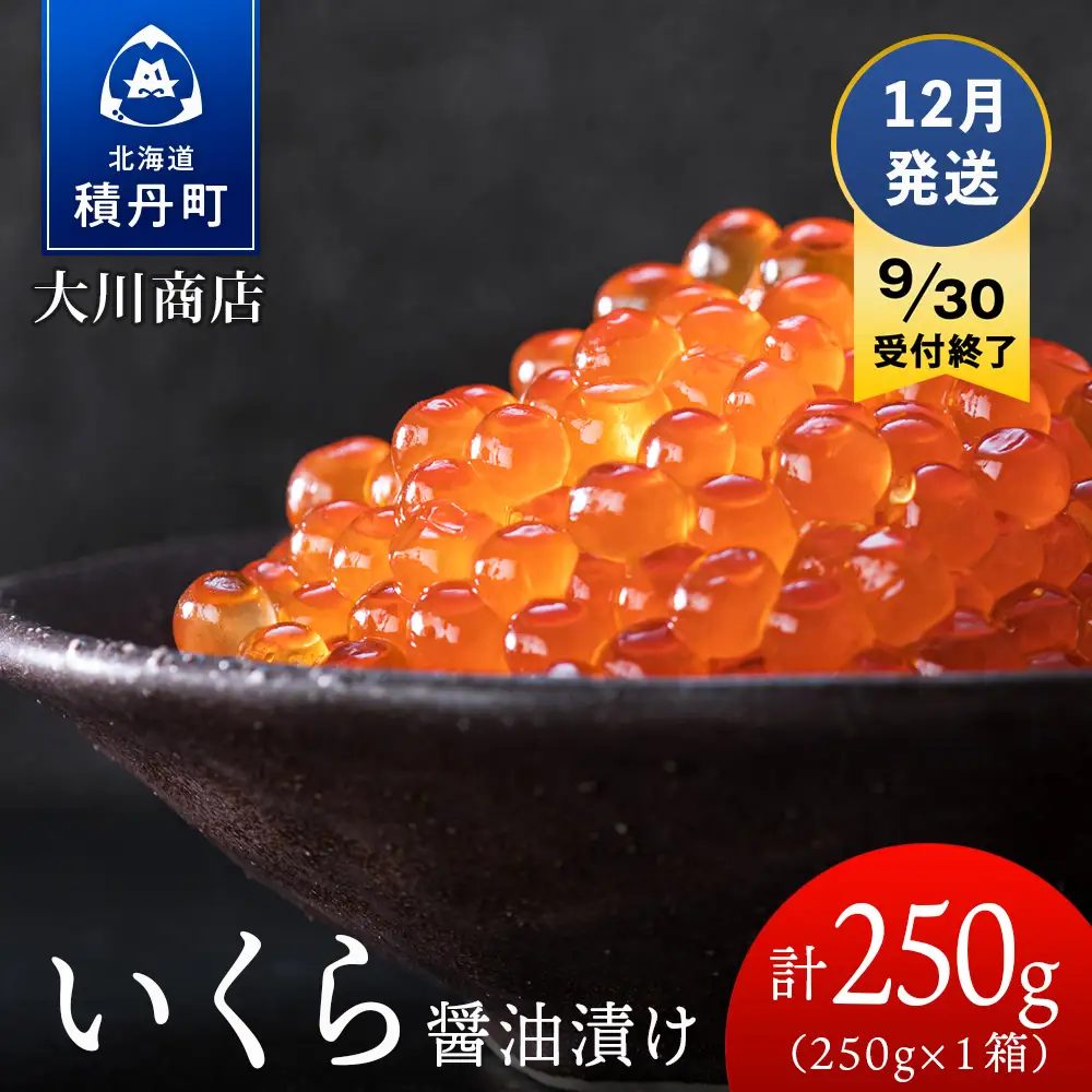 【9月30日受付終了】≪12月発送≫いくら醤油漬け250g1箱＜大川商店＞