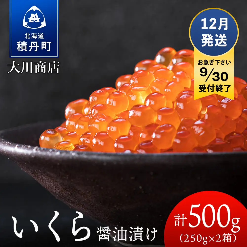 ≪12月発送≫いくら醤油漬け250g2箱＜大川商店＞