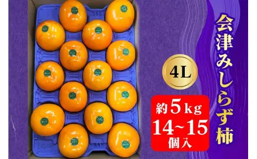 【2026年11月下旬から12月上旬発送予定】会津身しらず柿 4L (14個から15個入り) 約5kg 果樹園 壱心産｜会津若松 果物 フルーツ 柿 身知らず みしらず かき カキ 会津身不知柿