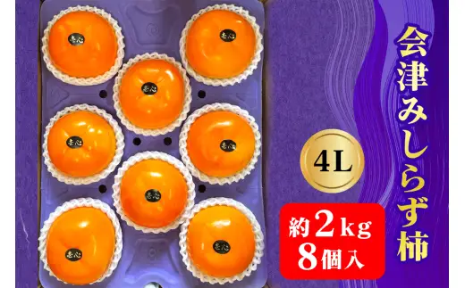 【2026年11月下旬から12月上旬発送予定】会津身しらず柿 4L (8個入り) 約2kg 果樹園 壱心産｜会津若松 果物 フルーツ 柿 身知らず みしらず かき カキ 会津身不知柿