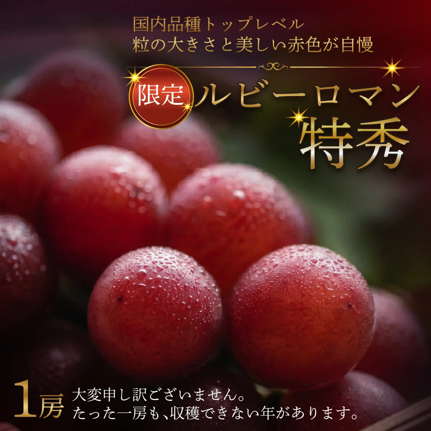 【先行予約】ルビーロマン 特秀（1箱）【2027年収穫分】 | ぶどう ぶどう 葡萄