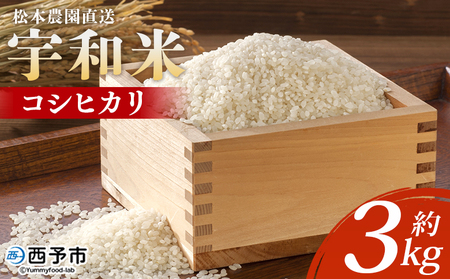 ＜令和7年産 松本農園直送 宇和米（コシヒカリ）約3kg＞ こしひかり 米 コメ こめ 白米 精米 うわまい ウワマイ ご飯 新鮮 3キロ お弁当 朝 昼 夜 国産 特産品 愛媛県 西予市【常温】『2025年9月下旬～12月下旬迄に順次出荷予定』UMT0001