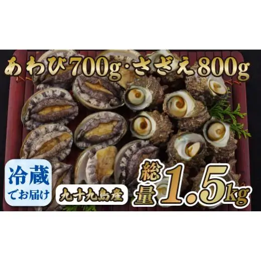 九十九島産 あわび さざえ セット 1.5kg ( 鮑700g 栄螺 800g ) 産地直送 新鮮 鮑 アワビ 魚貝 魚介 貝 海鮮 長崎県 佐世保市