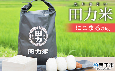 ＜令和7年産 田力米 5kg にこまる＞お米 こめ コメ 白米 精米 ご飯 ごはん 特産品 産地直送 田力本願 愛媛県 西予市【常温】『2025年10月下旬より順次出荷予定』UTH0002