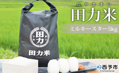 新米＜令和6年産 田力米 5kg ミルキースター＞お米 こめ コメ 白米 精米 ご飯 ごはん 特産品 産地直送 田力本願 愛媛県 西予市【常温】『1か月以内に順次出荷予定』UTH0003