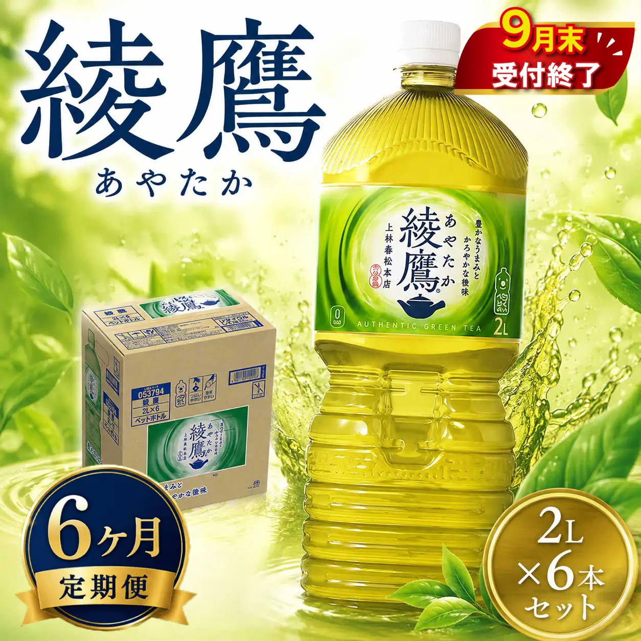 6ヶ月 定期便 綾鷹 PET 2L × 6本 セット 緑茶