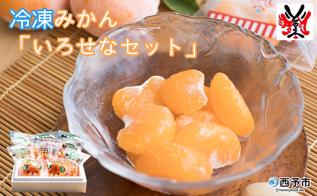 ＜冷凍みかん 詰め合わせ「いろせなセット」＞ 温州ミカン 蜜柑 ポンカン 不知火 ひめのつき せとか まどんな 果物 フルーツ 柑橘 おやつ 夏 冷たい デザート 食べて応援 特産品 渡江から一歩を踏み出す会 愛媛県 西予市【冷凍】『1か月以内に順次出荷予定』ATI0003
