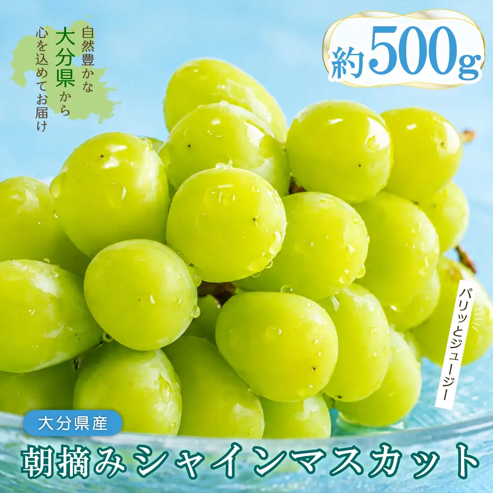 大分県産 シャインマスカット 約500g (1～2房) 2B1
