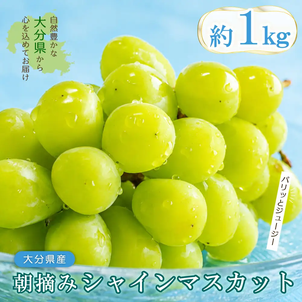 大分県産 シャインマスカット 約1kg (2～3房) 2B2