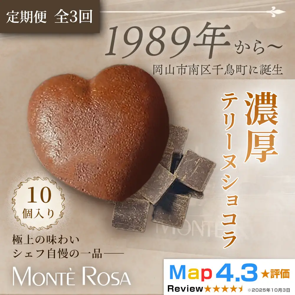 【定期便・全3回】モンテローザ テリーヌショコラ（10個セット）×3回｜バレンタイン ギフト 洋菓子 焼き菓子 濃厚ショコラスイーツ チョコレートケーキ 誕生日 お祝い 岡山県 岡山市
