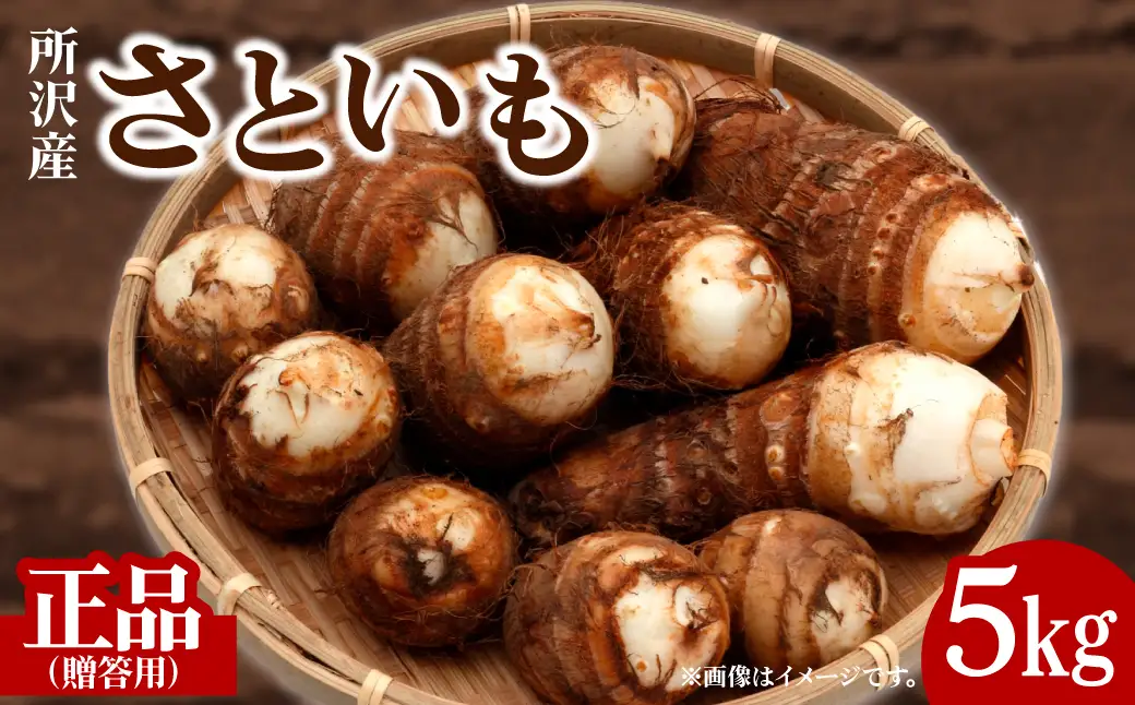 里芋 5キロ 贈答用 里芋